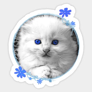White Kitten Portrait Sticker